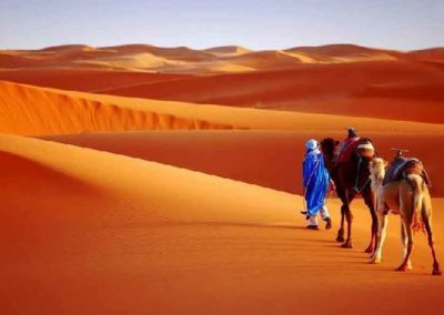 Camel-trek-in-merzouga